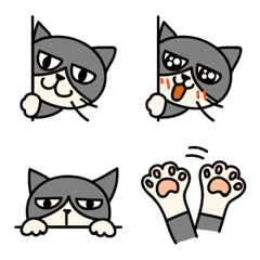 [LINE絵文字] ひょっこりはちわれ猫の絵文字の画像