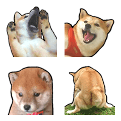 [LINE絵文字] Ugly Shiba Inu Wazaiの画像