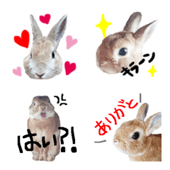 [LINE絵文字] うさぎの絵文字 お待たせしました！！の画像