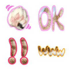 [LINE絵文字] 猫っけ絵文字 日常で使えるかわいい絵文字の画像