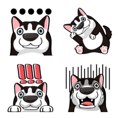 [LINE絵文字] Husky - Emojiの画像