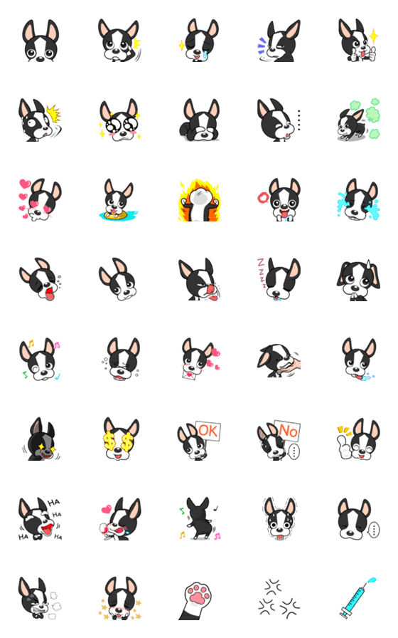 [LINE絵文字]Adorable Boston Terrier  Emoji so cuteの画像一覧