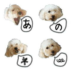 おうちプードルのつぶやき絵文字の絵文字メイン画像