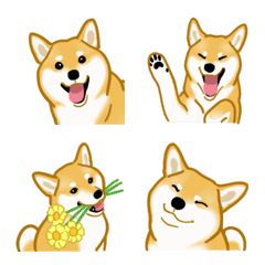 [LINE絵文字] 柴犬（犬）の画像