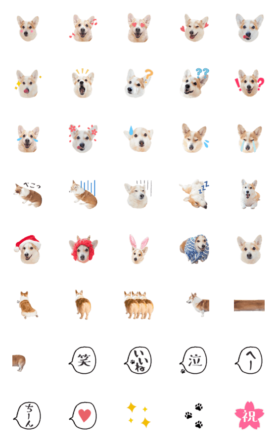 [LINE絵文字]コーギーのノエさんの絵文字の画像一覧