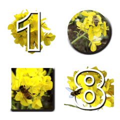 [LINE絵文字] 菜の花とミツバチの画像
