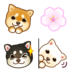 [LINE絵文字] 花よりわんこ（柴犬、桜、春）の画像