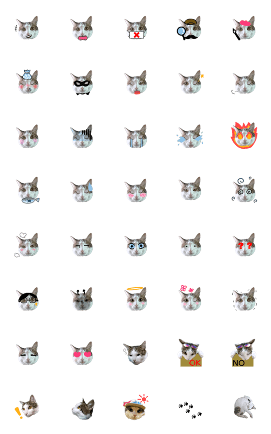 [LINE絵文字]かわいい猫の絵文字スタンプの画像一覧