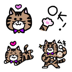 [LINE絵文字] トラ柄 ゆる猫 日常 絵文字の画像