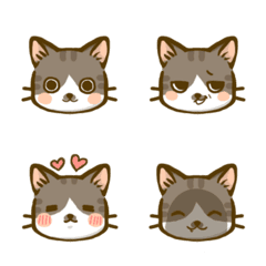 [LINE絵文字] Tabby cat Ohyo Emojiの画像
