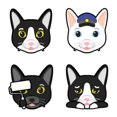 [LINE絵文字] なかよし ハチワレ くろしろ 猫 絵文字の画像