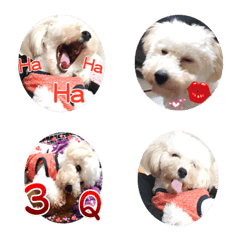 [LINE絵文字] Amy's sister floating expression 1の画像