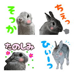 [LINE絵文字] 【うさぎ写真】使いやすい絵文字3の画像