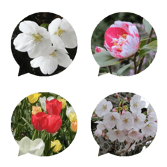 [LINE絵文字] 桜と春の花の絵文字の画像