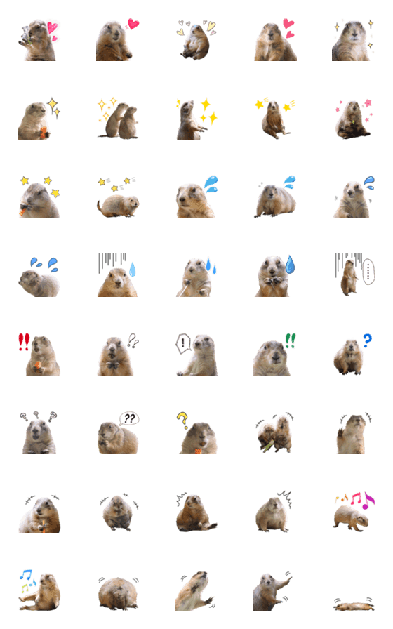 [LINE絵文字]絵文字になったプレーリードッグの画像一覧