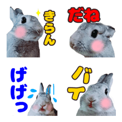 [LINE絵文字] 【うさぎ写真】使いやすい絵文字4の画像