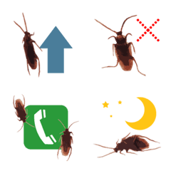 [LINE絵文字] うわー！ 蟑螂の画像