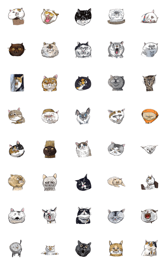 [LINE絵文字]cat emoji 01の画像一覧
