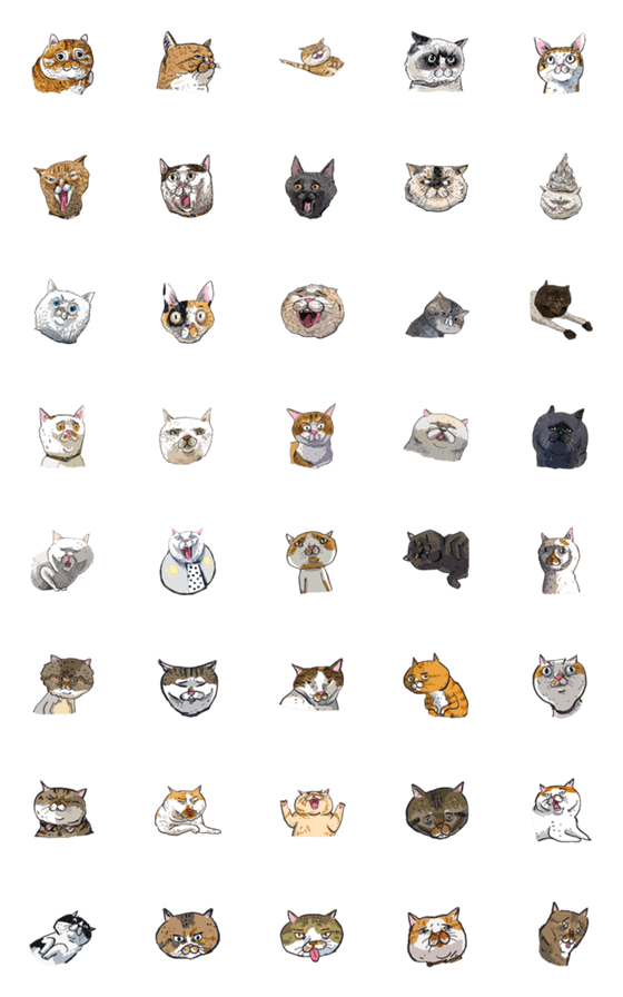 [LINE絵文字]cat emoji 02の画像一覧