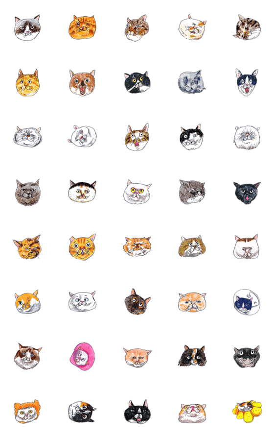[LINE絵文字]cat emoji 03の画像一覧