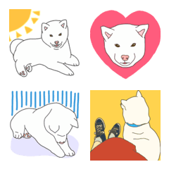 [LINE絵文字] 白柴犬の絵文字の画像