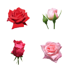 [LINE絵文字] 薔薇のお花絵文字の画像