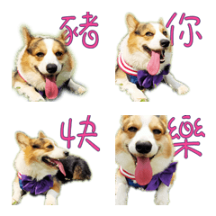 [LINE絵文字] corgi.pockyの画像