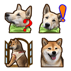 [LINE絵文字] ミックス犬やと＆柴犬こと 絵文字の画像