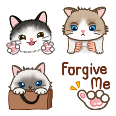 [LINE絵文字] Three Cats touch my heart Emojiの画像
