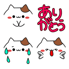 [LINE絵文字] どアップ猫の画像