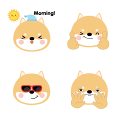 [LINE絵文字] Cute Face Shiba Inu emojiの画像