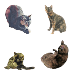 Black cat.の絵文字メイン画像