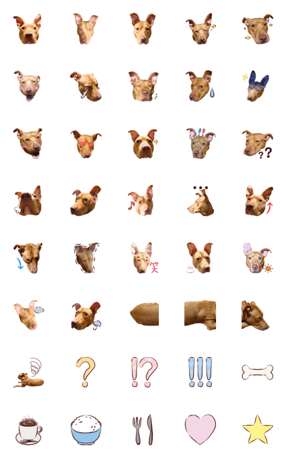 [LINE絵文字]犬のベス★写真絵文字の画像一覧