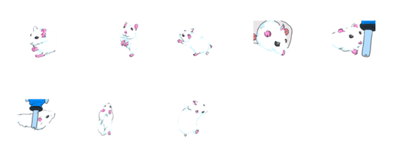 [LINE絵文字]Lovely hamster1の画像一覧