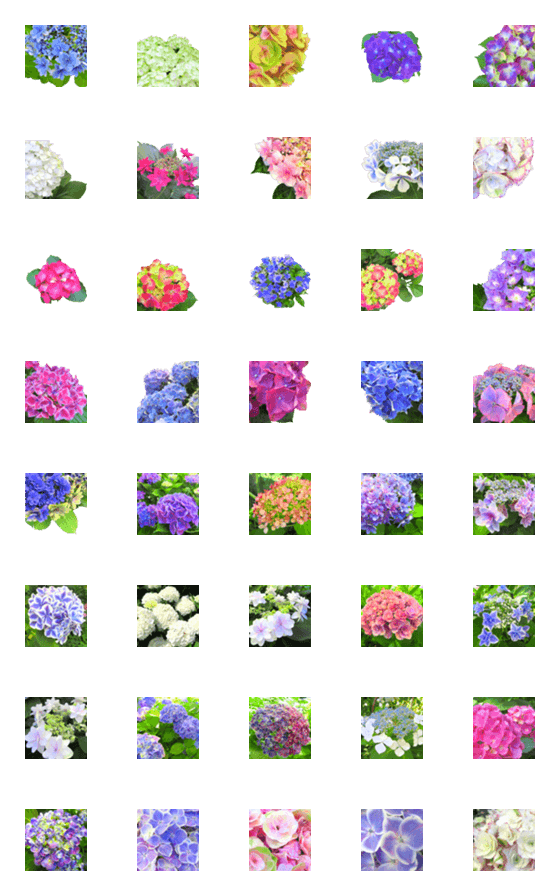 [LINE絵文字]絵文字に花を♪アジサイの画像一覧