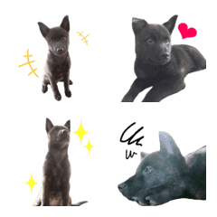 [LINE絵文字] 甲斐犬＋オマケの画像