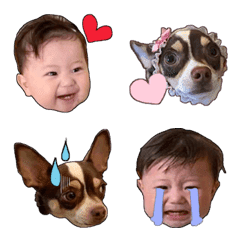 [LINE絵文字] aopu-koro-emojiの画像
