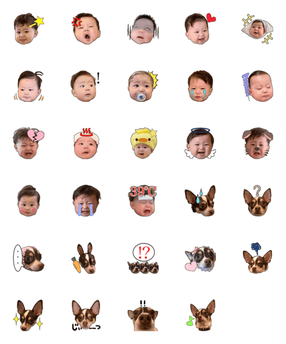 [LINE絵文字]aopu-koro-emojiの画像一覧
