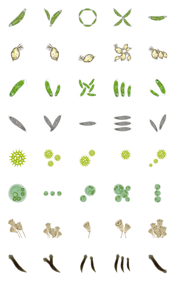 [LINE絵文字]リアルな微生物の絵文字の画像一覧