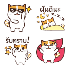 [LINE絵文字] Cute cat emoji ！！の画像