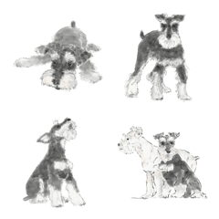 [LINE絵文字] Miniature Schnauzer - Salt and Pepperの画像