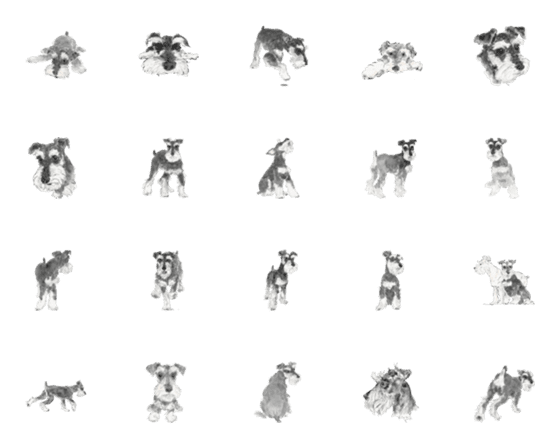 [LINE絵文字]Miniature Schnauzer - Salt and Pepperの画像一覧