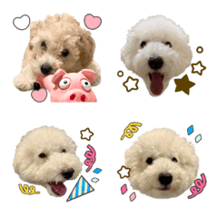 [LINE絵文字] mimi.emojiの画像