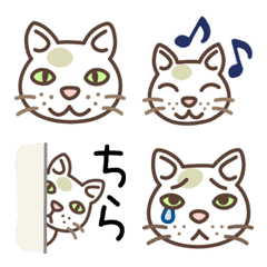 [LINE絵文字] 毎日使えるネコの絵文字の画像