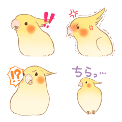 [LINE絵文字] ゆるふわオカメインコの画像