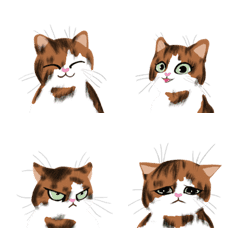 [LINE絵文字] FUZZY BRAINED cat expressionsの画像