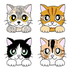 [LINE絵文字] 可愛い猫 ねこ ニャンコの画像