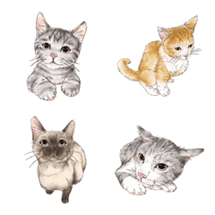 [LINE絵文字] Funny And Cute Catsの画像