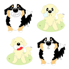 [LINE絵文字] わんこ 犬 ゴールデンとバーニーズの画像