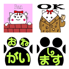 [LINE絵文字] 白猫のラン 文字多数 日常編 絵文字の画像